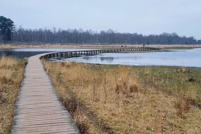 De 10 Mooiste Vlonderpaden In Vennen Van Huis Ter Heide