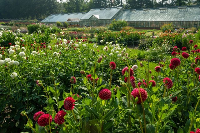 Landgoedwandelingen: Pracht en praal op Landgoed Mookerheide; tuinen van Landgoed Mookerheide