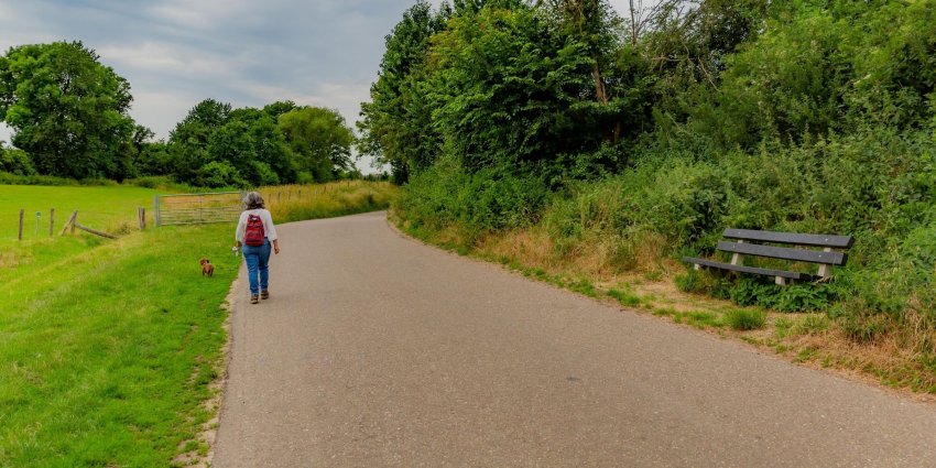 Tips Om Veilig Te Wandelen - Wandel