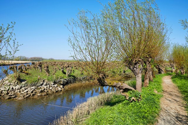 5 x Van Boom tot Bos-wandelingen; Rhoonse Grienden