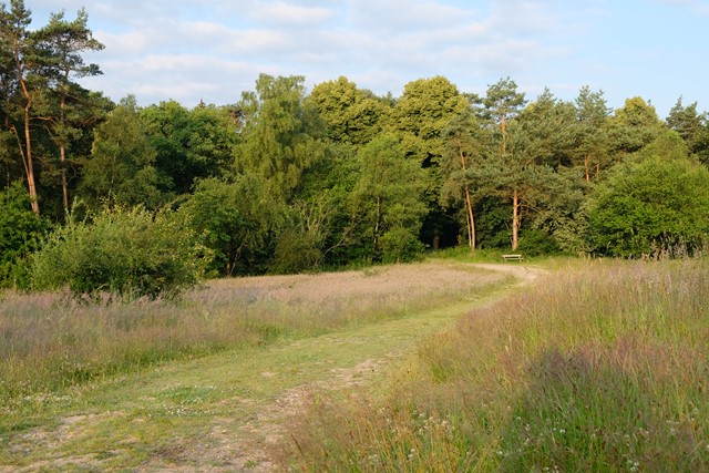 2 Wandelbankjes (2)