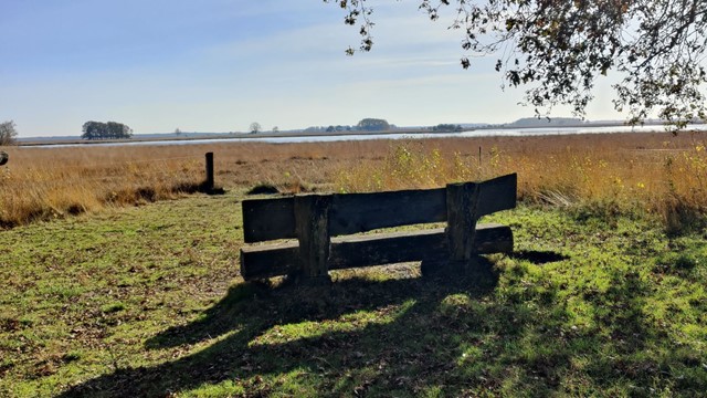 Wandelroute NP Dwingelderveld Nationaal Park Dwingelderveld Ontgonnen Gebied