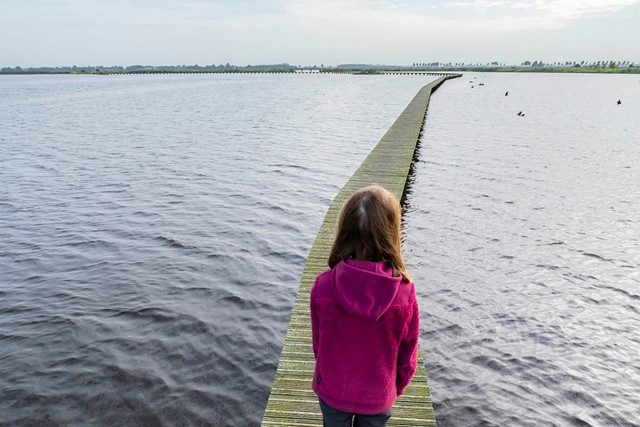 Landgoedwandelingen: Ontdek Landgoed Fraeylemaborg; wandelen over de vlonderbrug