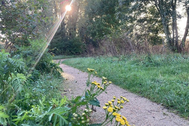 Wandelwoorden, deel 10: stomme wandelingen voor je stomme mentale welzijn