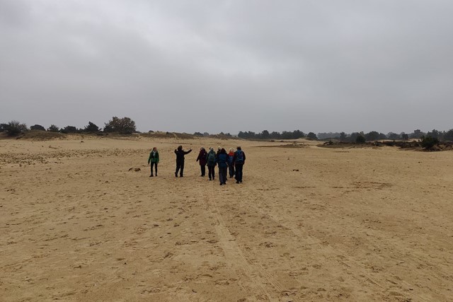 Een wandelreis in Drenthe: genieten van de herfst in optima forma